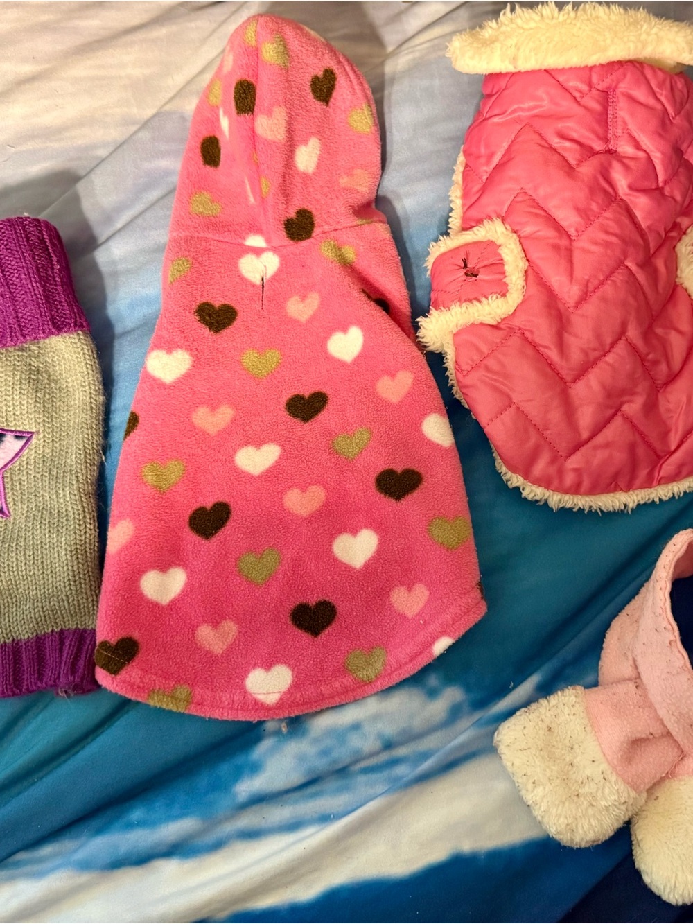 Extra Small 4 piece Cozy Clothes for Tiny Dogs